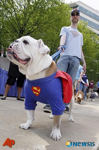 20100420 Super Dog.jpg